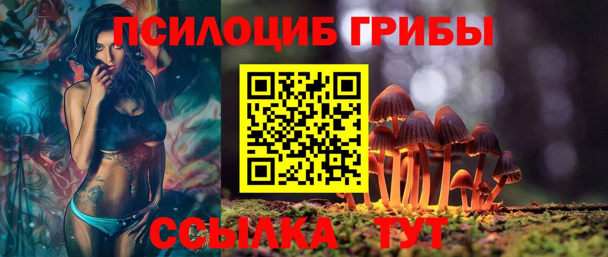 Галлюциногенные грибы Psilocybine cubensis Кингисепп