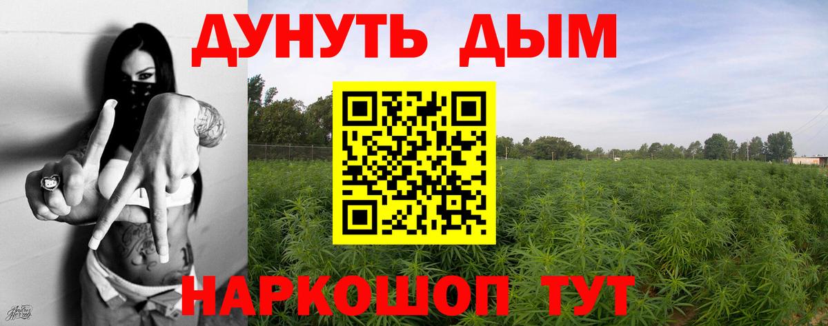 Бошки Шишки сатива  Вход с VPN  Бошки марихуана ГИДРОПОН  Бошки марихуана VHQ  Марихуана семена  Кингисепп 